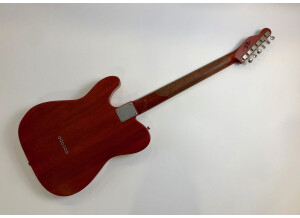 Nash Guitars T63 (56311)