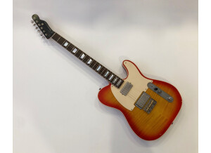 Nash Guitars T63 (61428)