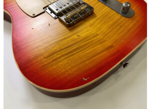 Nash Guitars T63 (7366)