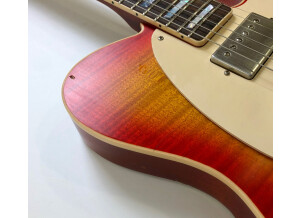Nash Guitars T63 (20507)