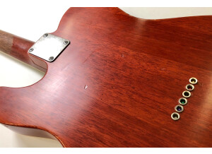 Nash Guitars T63 (60179)