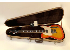 Nash Guitars T63 (53371)