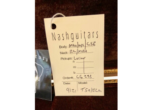 Nash Guitars T63 (1615)
