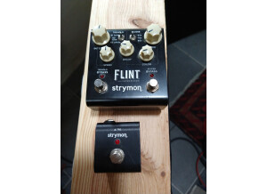 Strymon Flint (67334)