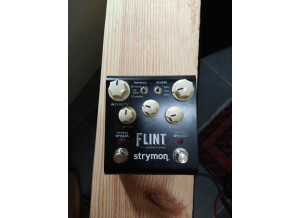 Strymon Flint (2919)