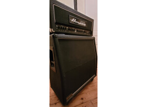 Ampeg VL-1002