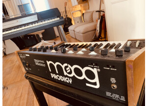 Moog Music Prodigy (98436)