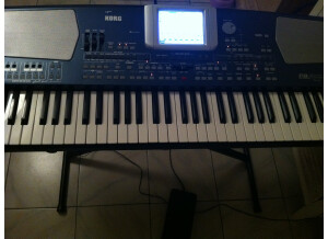 Korg Pa500ORT (42327)