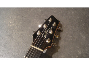 Godin A6 Ultra (538)