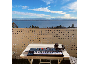 Arturia MiniFreak (79364)