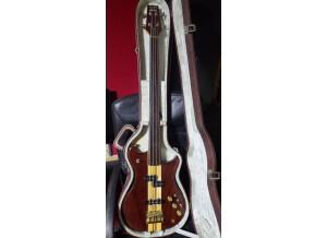 Westone Thunder III (45657)