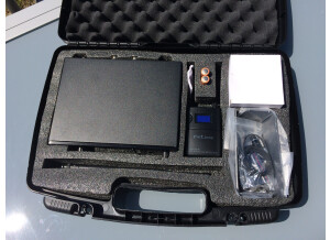 The T.bone IEM 100 (32562)