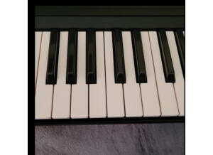 Korg MS-20 FS (60555)