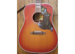 Gibson Hummingbird - True Vintage