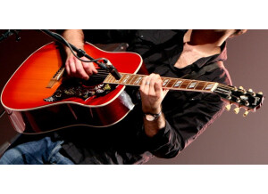 Gibson Hummingbird - True Vintage