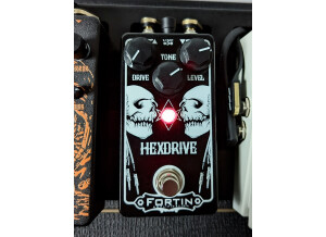 Fortin Amplification Hexdrive