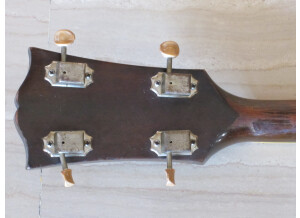 Gibson TG-50