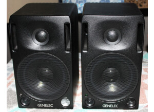 Genelec 2029A