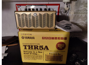 Yamaha THR5A