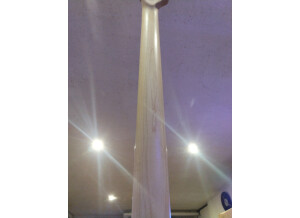 Sire Marcus Miller V7 4st (Alder) 2nd Generation (75722)