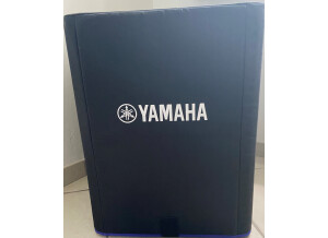 Yamaha DXS15