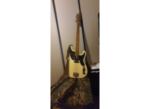 Sire D5 Alder-4 BB (97643)