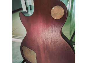 Gibson Les Paul Studio Faded 2016 Worm Brown Custom