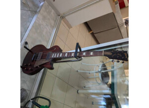 Gibson Les Paul Studio Faded 2016 Worm Brown Custom