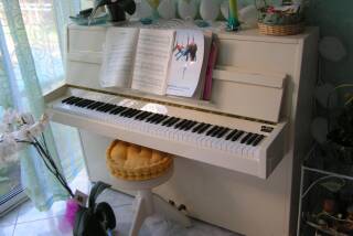 Rippen Cantabile