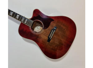 Gibson Songwriter Deluxe Cutaway (10721)