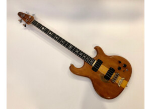 Alembic Spoiler (80271)