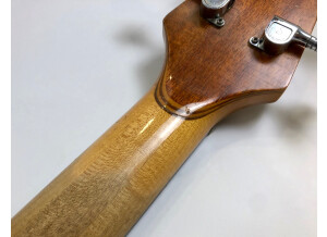 Alembic Spoiler (5712)