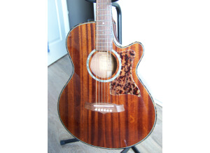 Tanglewood SUNDANCE GTW47B
