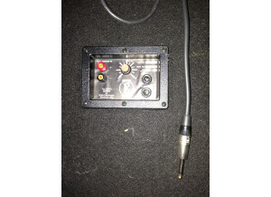 Eden Electronics D210XLT