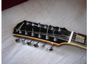 EPIPHONE Tete