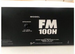 Fender FM 100 Head