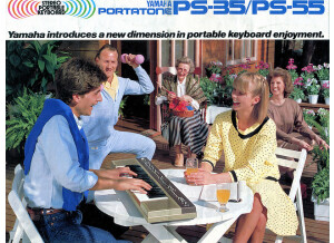 Yamaha ps-35/ps-55 commercial