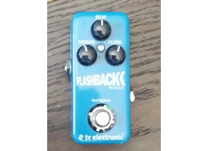 TC Electronic Flashback Mini (14612)