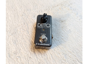 TC Electronic Ditto Looper (79080)