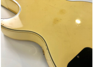 Gibson Les Paul Custom (20348)