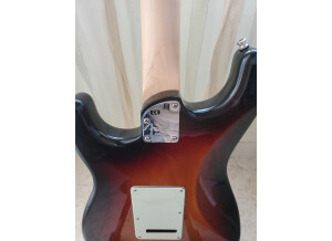 Fender Elite Stratocaster (53438)