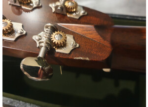 Collings D2H (85891)