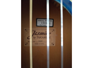 Jasmine TS99C