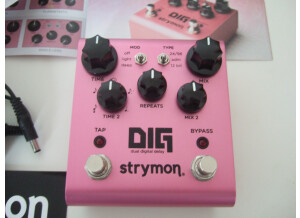Strymon DIG (91535)