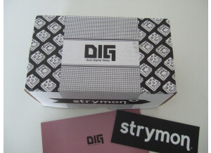 Strymon DIG (52770)