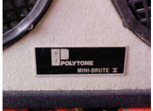 Polytone mini brut V (fin 70's)