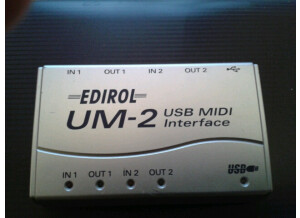 Roland UM 2 (25263)