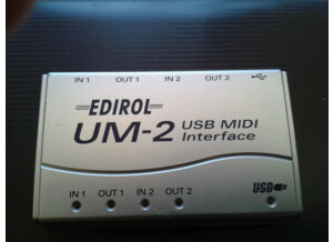 Roland UM 2