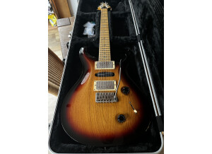 PRS Swamp Ash Special (68036)
