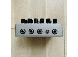 EarthQuaker Devices Disaster Transport SR (22284)